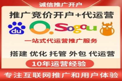 SEM推广实战：成功案例解读与策略调整